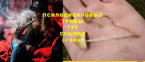 дживик Остров