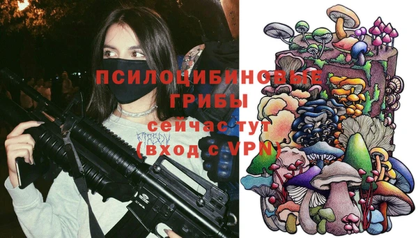 прущая мука Няндома